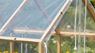 10 Essential Tips for Choosing the Right Clear Plastic Tarpaulin for Your Needs