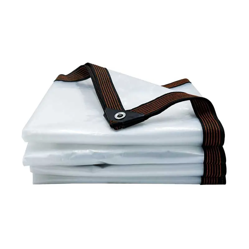 All-Weather-PE-Clear-Tarpaulin-–-Reliable-Transparent-Cover-for-Industrial-and-Outdoor-Use2.jpg