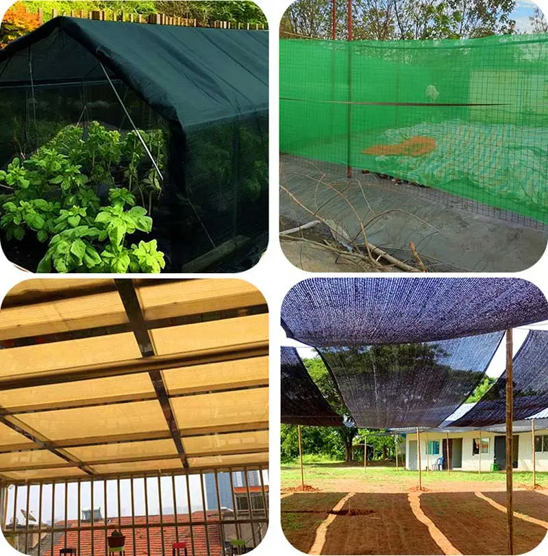 Boosting-Agricultural-and-Industrial-Efficiency--What-Is-the-Purpose-of-a-Shade-Net2.jpg