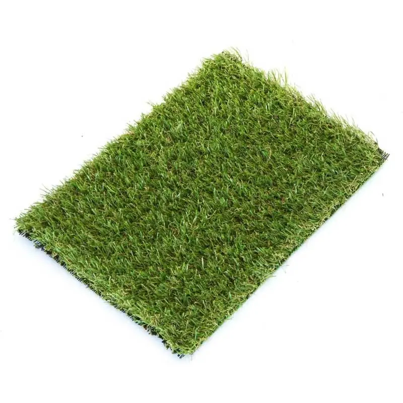 Evergreen Outdoor Living with Backyard & Patio Synthetic Turf